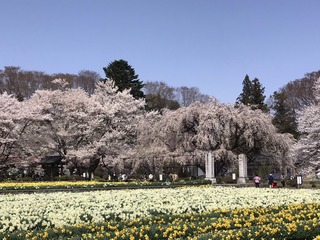 24190D0A-DC97-40DC-AEDA-C425651F5421.jpeg
