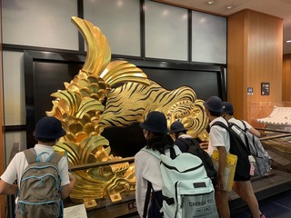 IMG_7337.JPG
