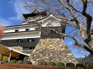 IMG_8720.JPG
